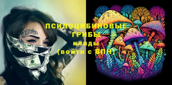 тгк Богородицк