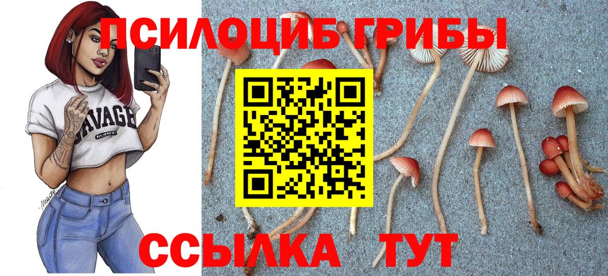 Псилоцибиновые грибы мухоморы  Галлюциногенные грибы ЛСД  Сосновый Бор  Вход с VPN 