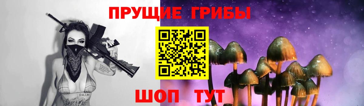Псилоцибиновые грибы MAGIC MUSHROOMS Сосновый Бор
