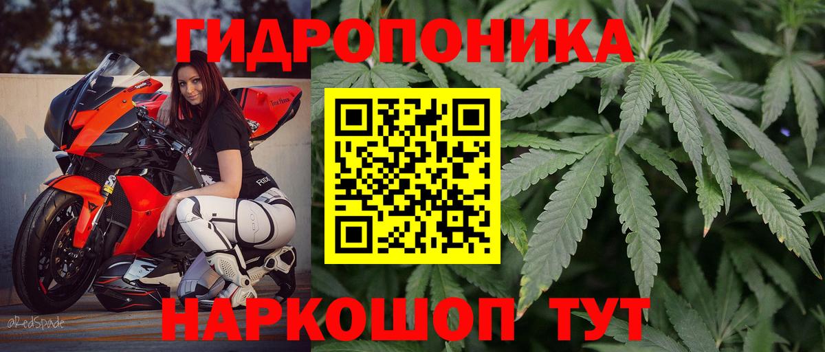 Конопля LSD WEED  Марихуана семена  Бошки Шишки LSD WEED  Сосновый Бор 