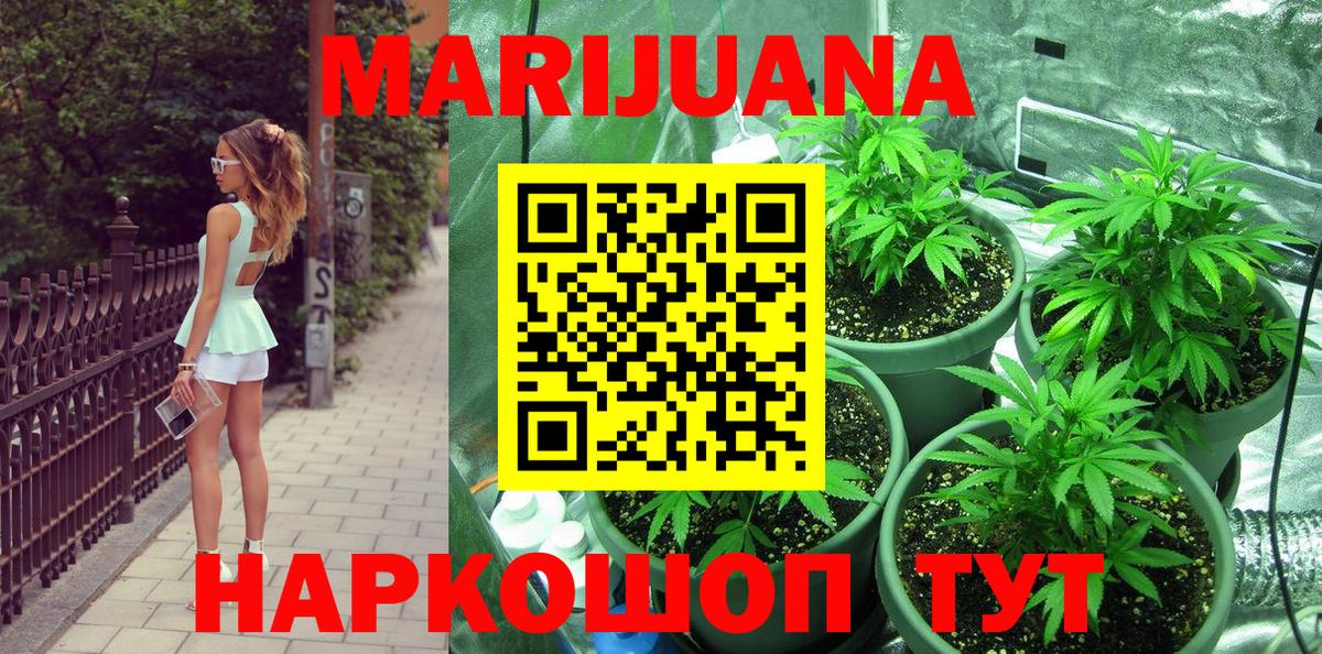 Сосновый Бор  Каннабис конопля  Вход с VPN  Бошки Шишки White Widow  Конопля сатива 